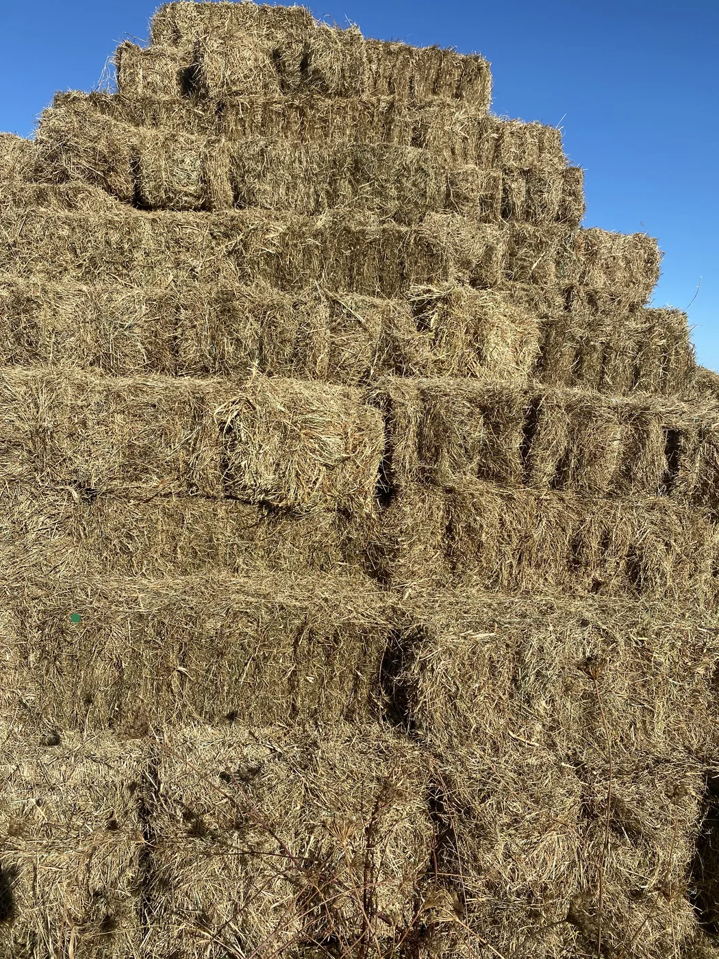Hay bales stacked