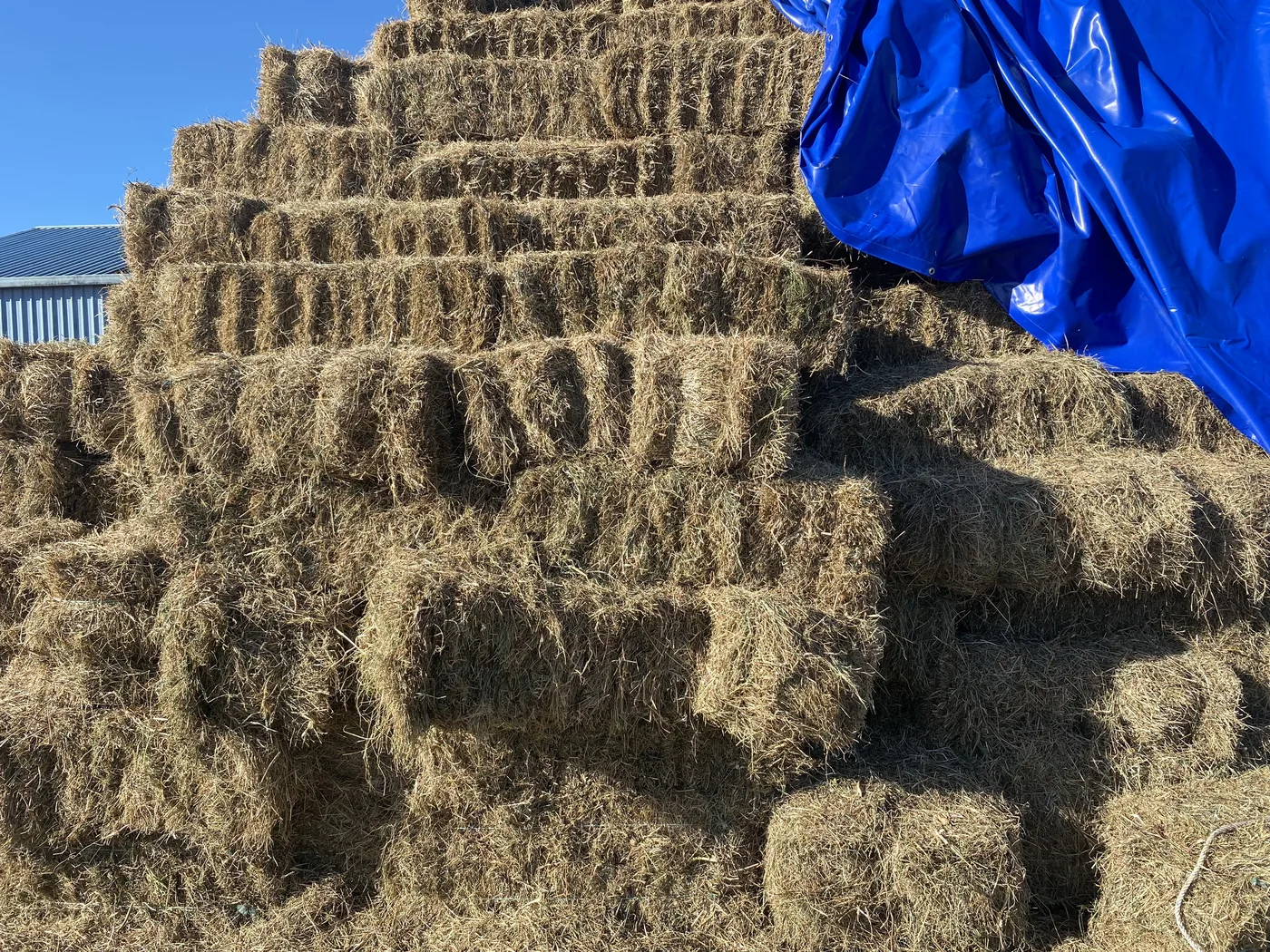 Hay bales stored